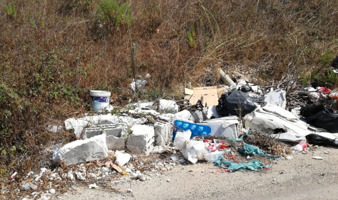 LA RESPONSABILITA’ DEL PROPRIETARIO DEL FONDO PER L’ABBANDONO DEI RIFIUTI AI SENSI DELL’ART. 192 DEL TESTO UNICO DELL’AMBIENTE E L’OMESSA RECINZIONE